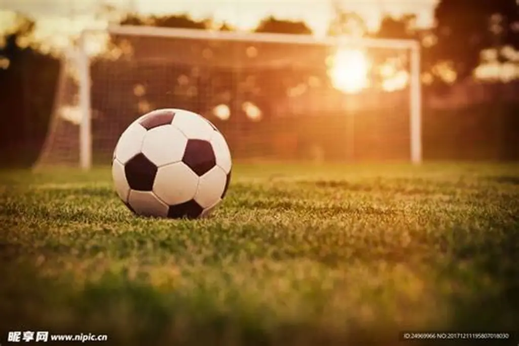 九游体育 (中国)官方网站-官网入口-JIUYOU SPORTS